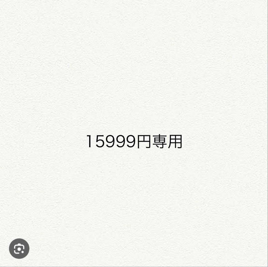 15999円専用