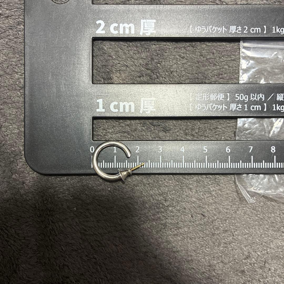 キャリアリング　プラシーボ　placebo 301 0711