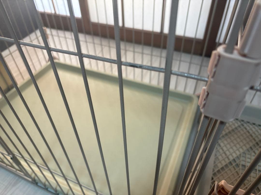 大特価 ペットケージ 小型犬 中型犬 トイレ分離