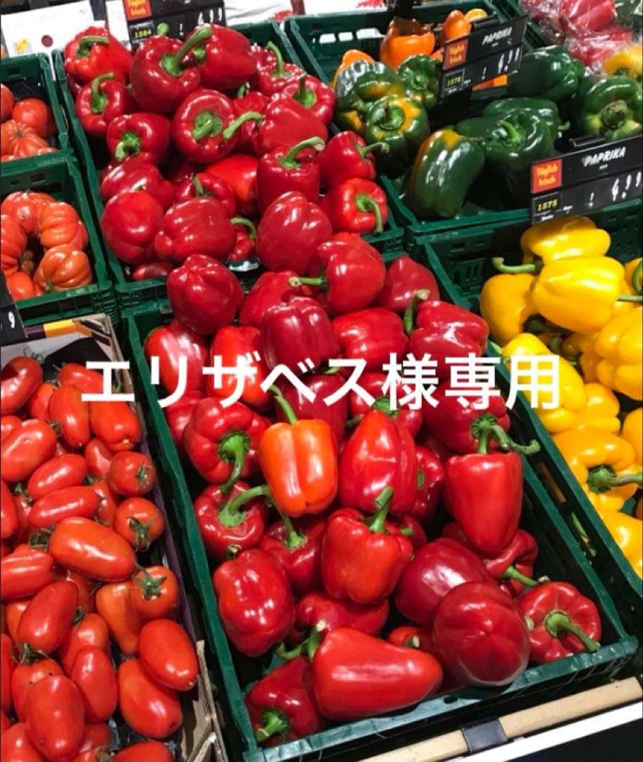 エリザベス（121）