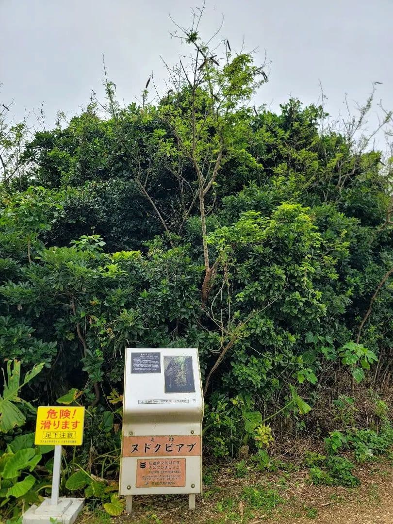 A理想の人生と美貌★チャクラオルゴネックレス