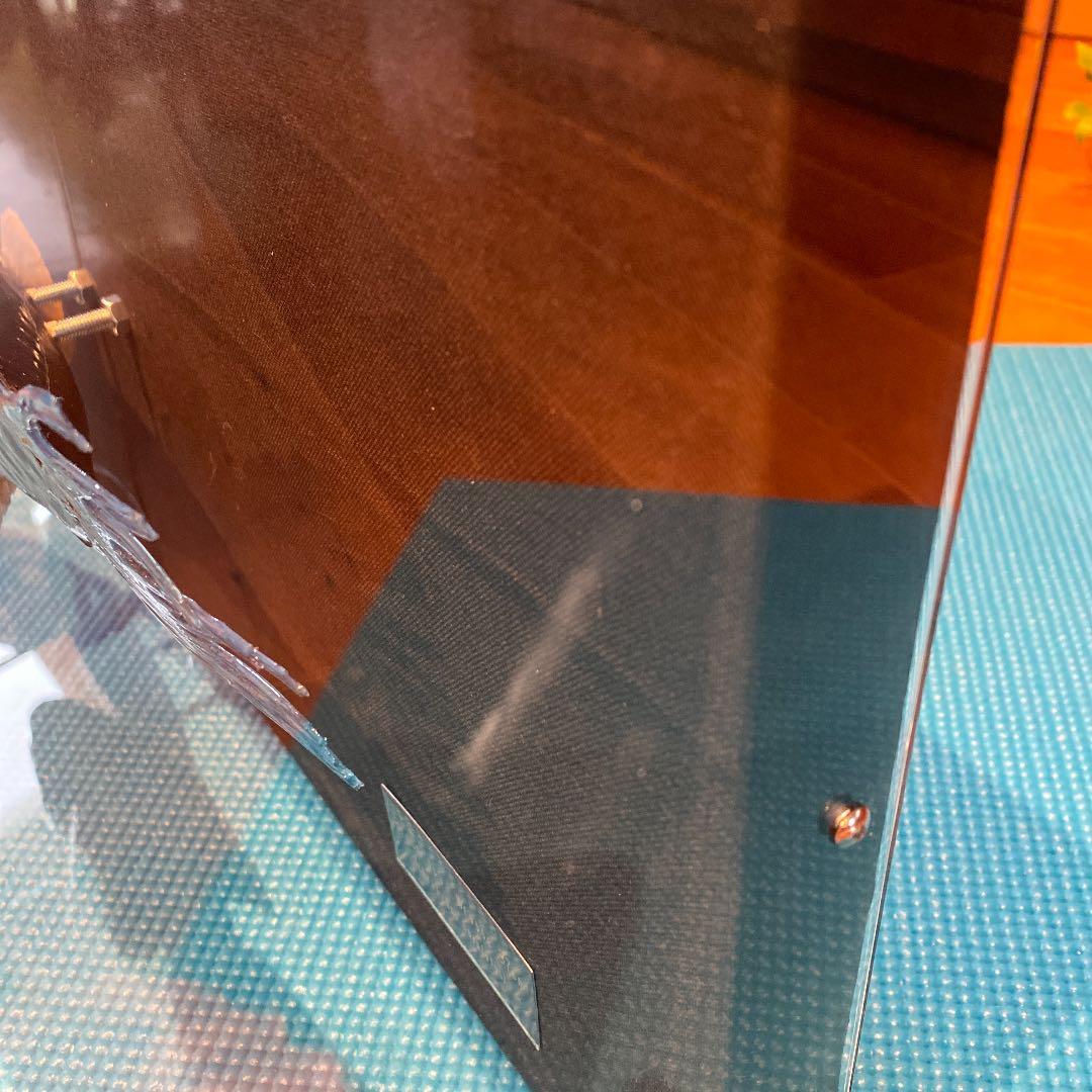 ブルームテールラス 海水魚 剥製