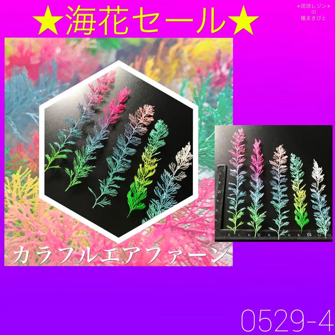 琉球*海花セール　カラフル エアファーン　0529-4