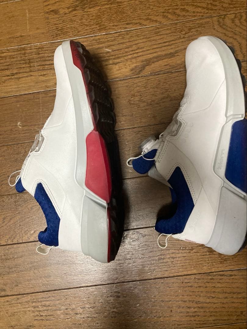ECCO M GOLF BIOM M4 ゴルフシューズ EU 40