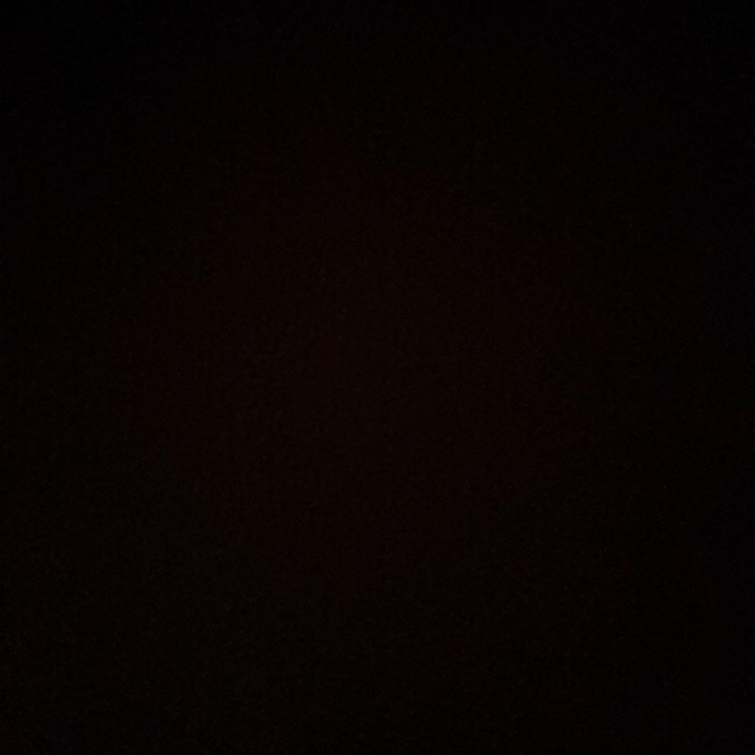 イチゴさん専用④