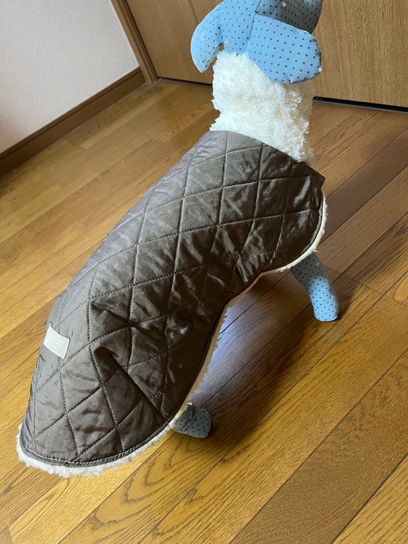 イタグレ服　アウター　オーダー受付‼︎