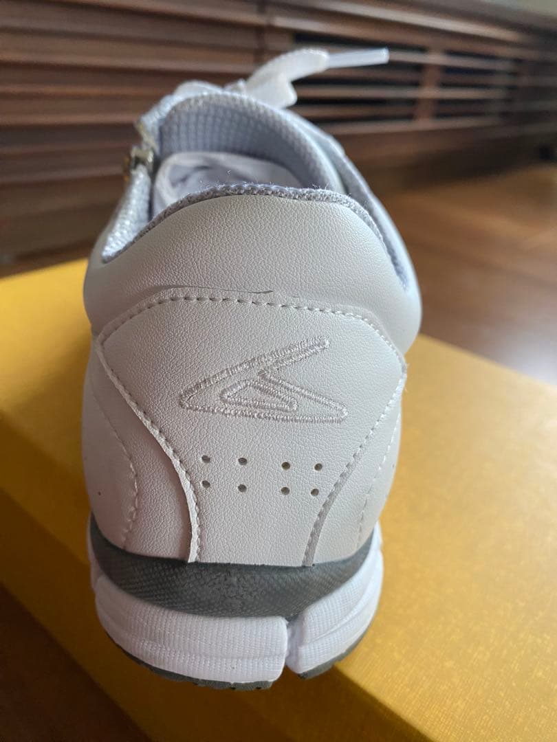 ベネシュ機能性健康靴