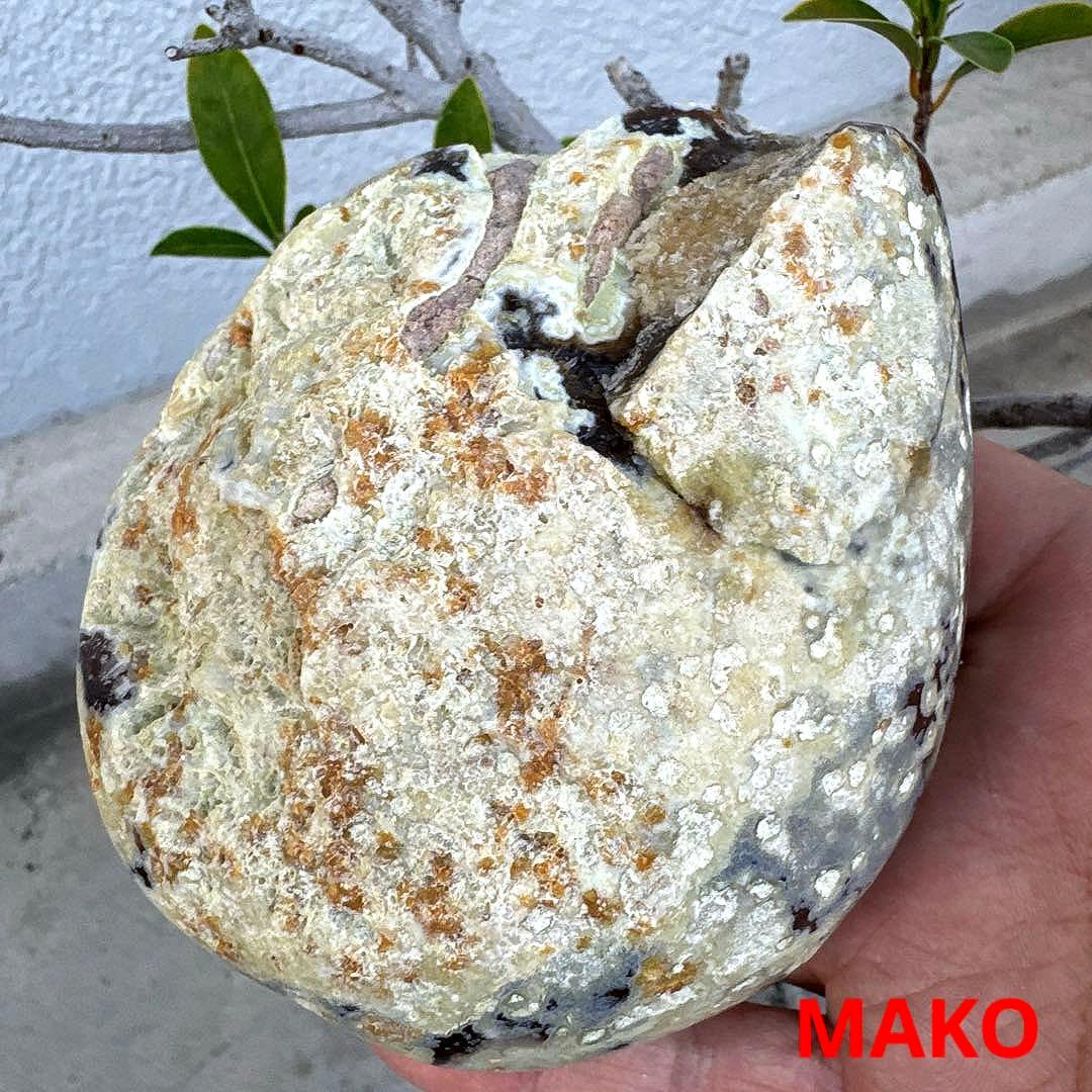 M1726☆ペア・トレジャー瑪瑙原石818g☆天然石　原石☆N50507-J