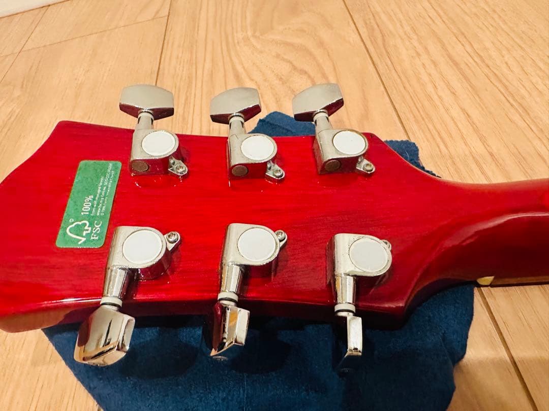ギター PLAYTECH LP-500 PREMIUM Quilt Top P-90