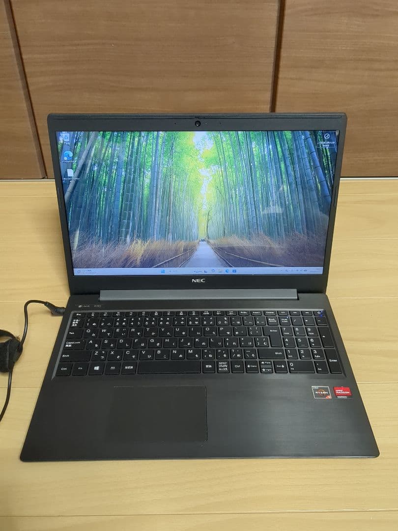 NEC LAVIE Direct Ryzen 5 メモリ8GB SSD256GB