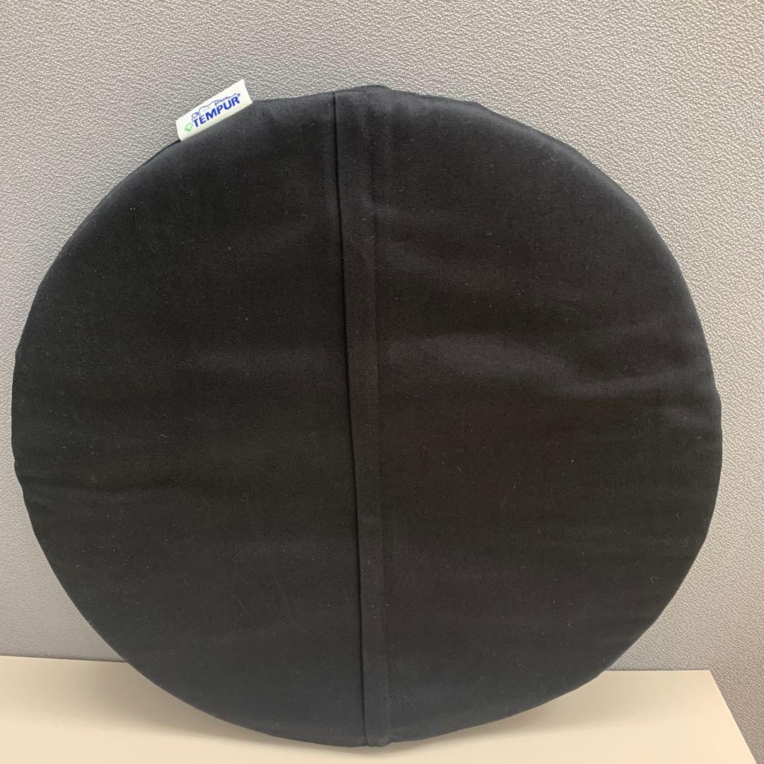 マスターマインドジャパン テンピュールクッション