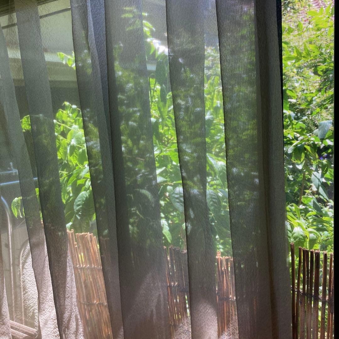 FISBA フィスバ 高級カーテン 2枚