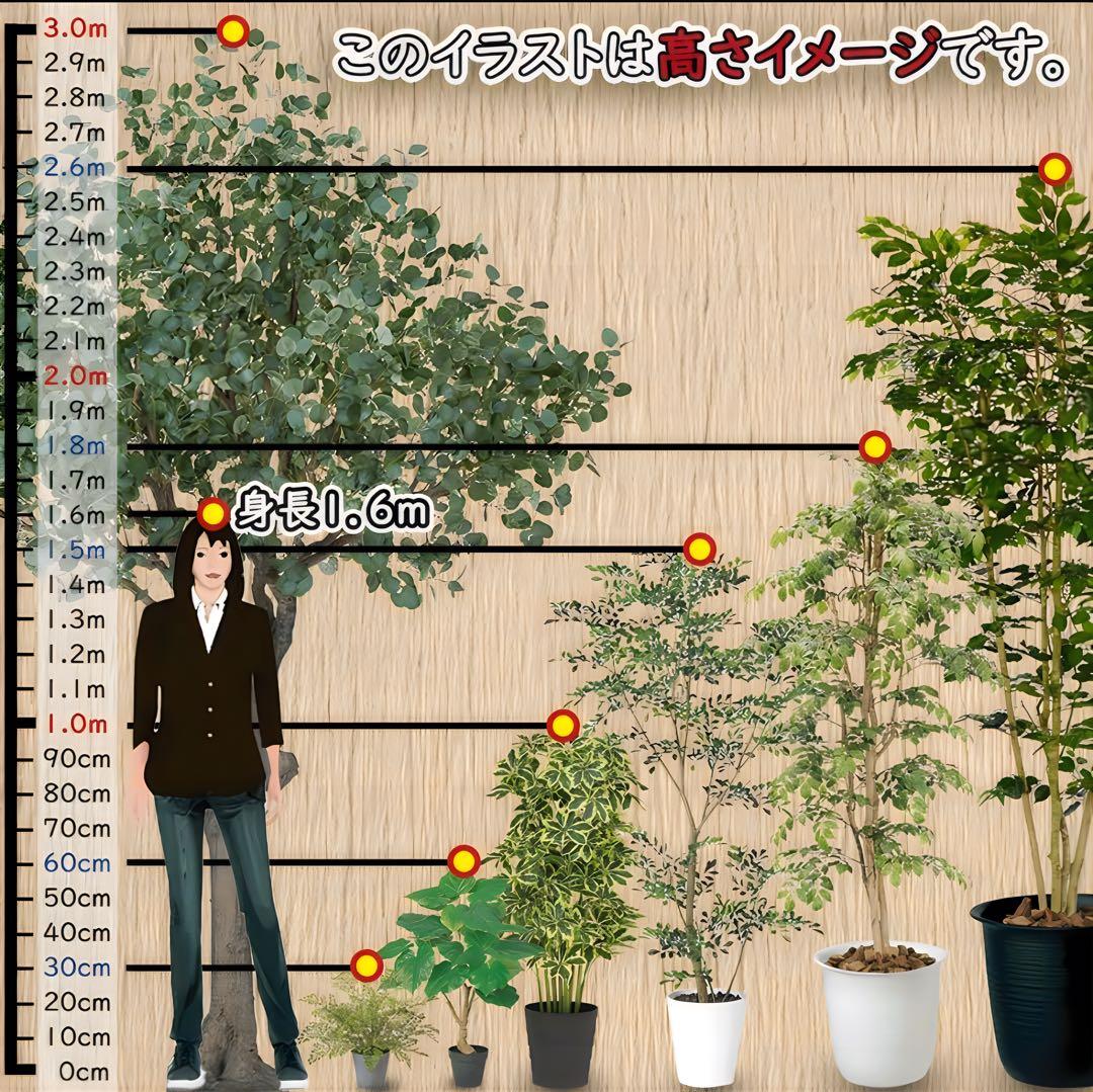 光触媒　人工観葉植物　フェイクグリーン　ベンガルボダイジュコアッド