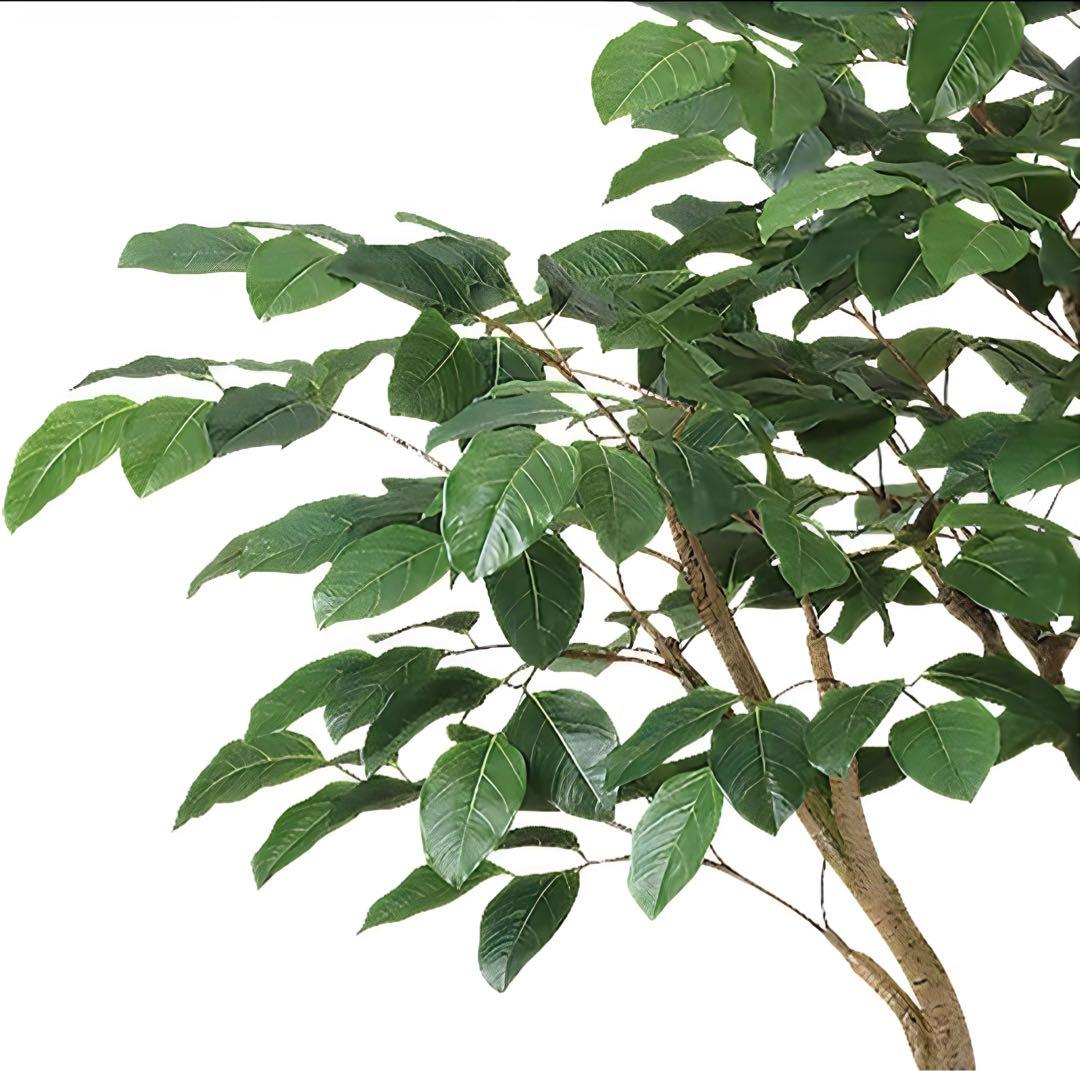 光触媒　人工観葉植物　フェイクグリーン　ベンガルボダイジュコアッド