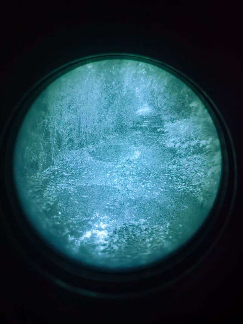 Argus pvs31米軍 実動 ir nvg 個人装備 特殊部隊ナイトビジョン