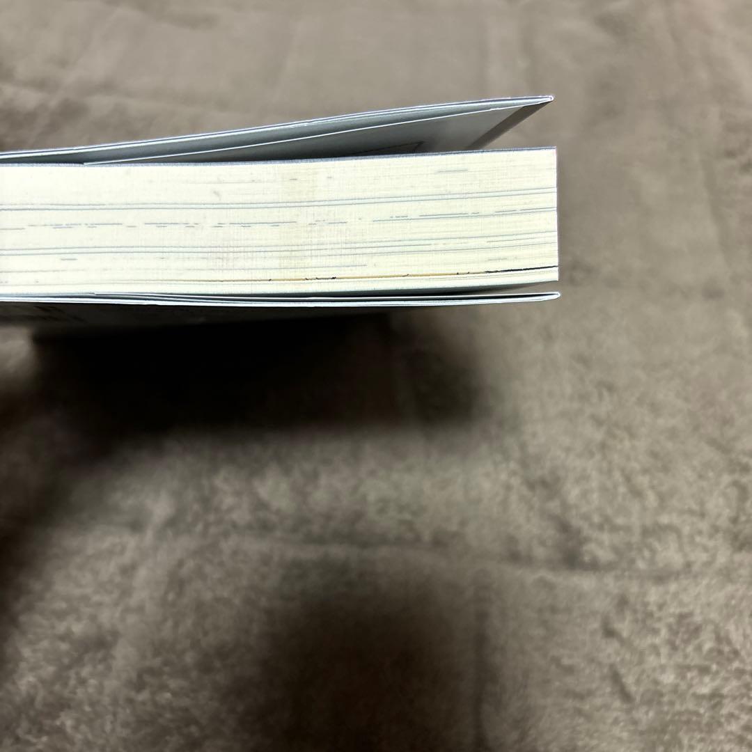 嘆きの亡霊は引退したい 全巻 小説 1-13巻 + 短編集 特装版 全初版 希少