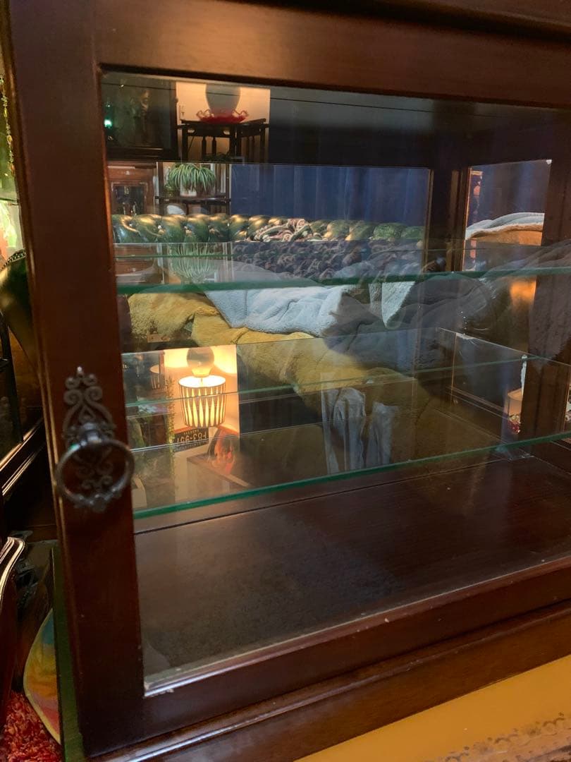 ガラスコレクションケース　飾り棚