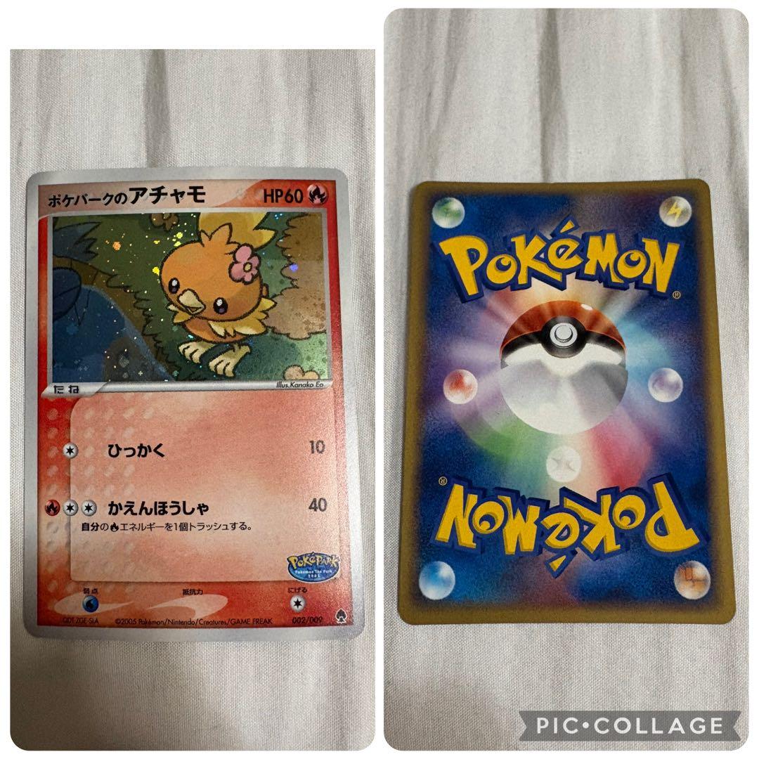 ポケパーク　フォレストシート