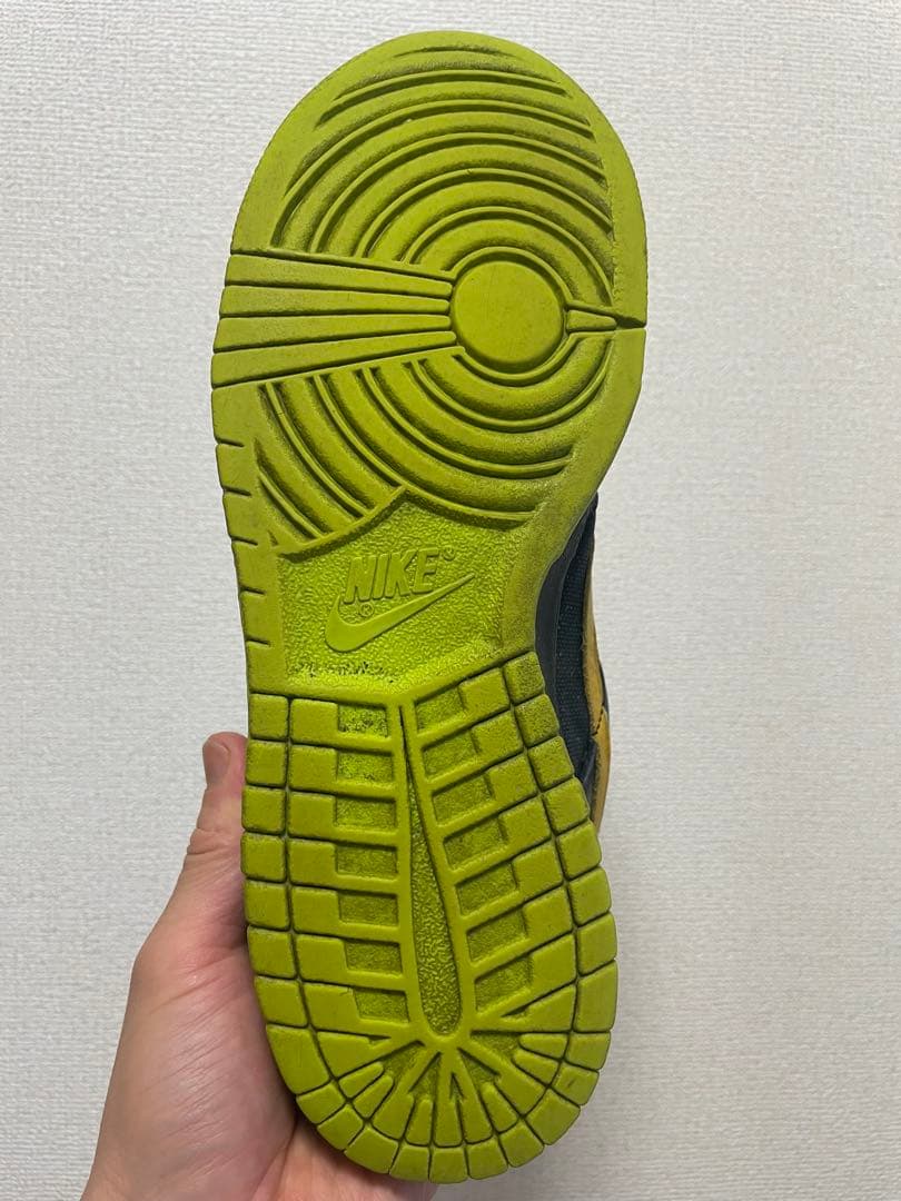 ★ Nike SB Dunk Low Space Tiger ★