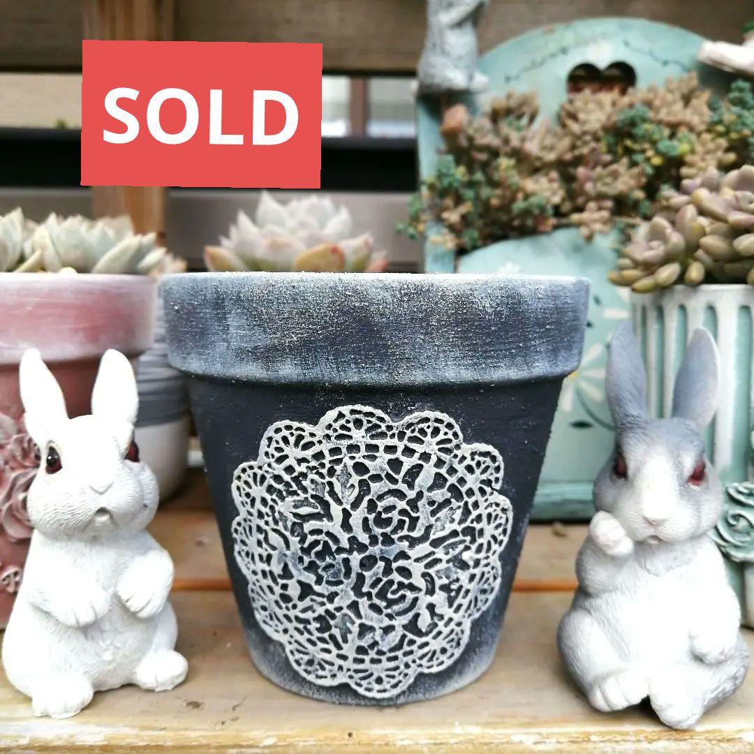 E-23f. 3号 素焼きリメ鉢 レース アンティーク 多肉植物