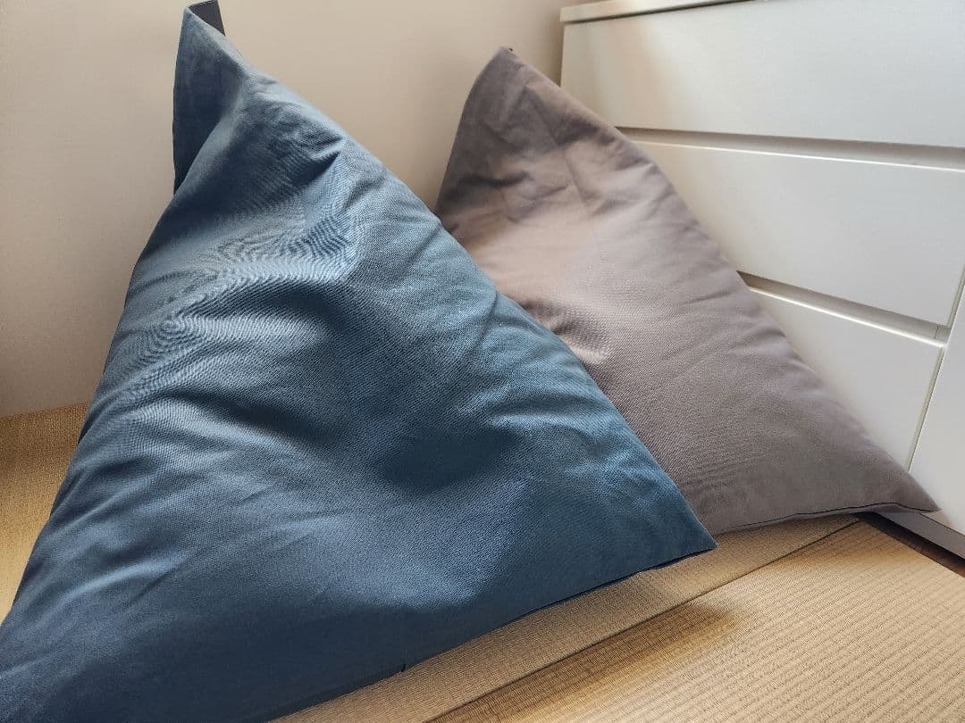 tetra 8号帆布 ビーズクッション 2色セット