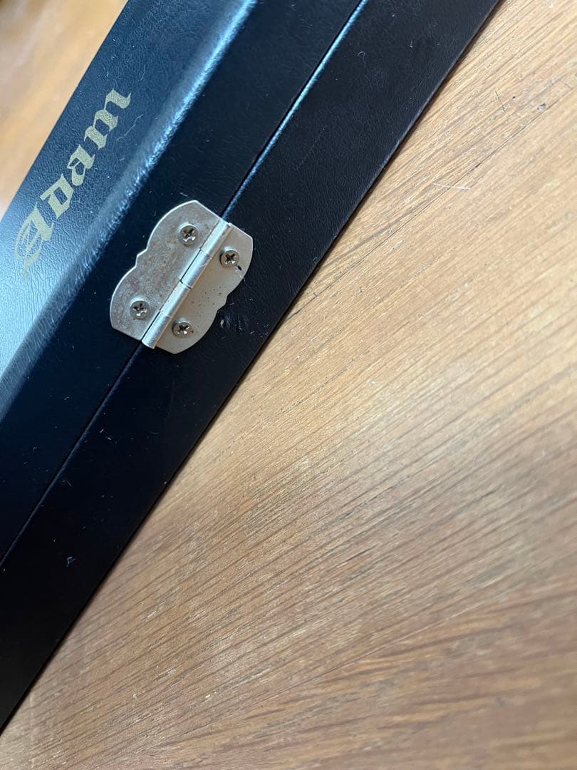 アダム　ビリヤードキュー　ケース付き