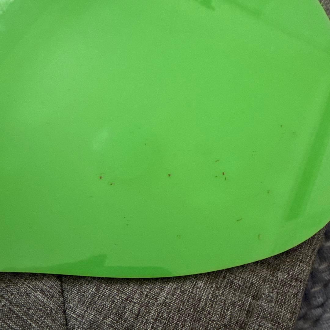 週末せーる。台おまけ♪ディズニー マジカルオーディオえほん セット　8冊