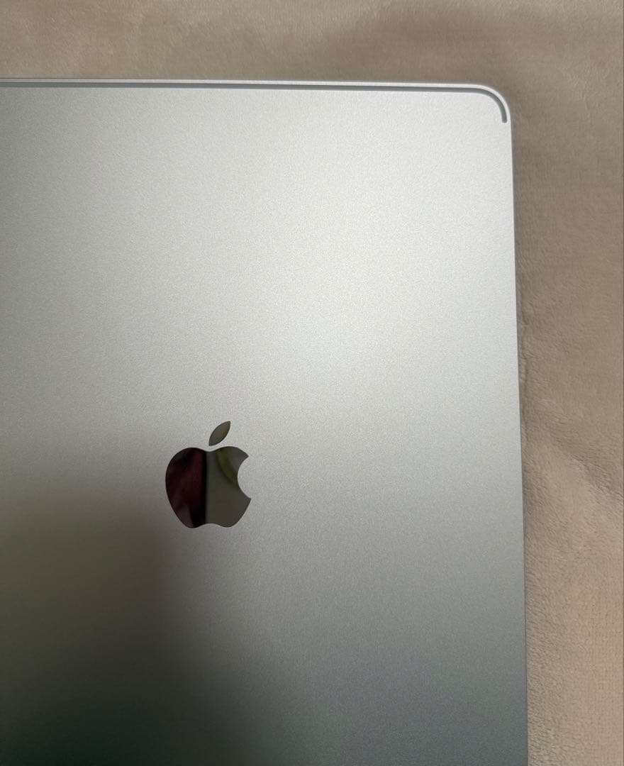 iPad Pro(第6世代) 12.9インチ シルバー