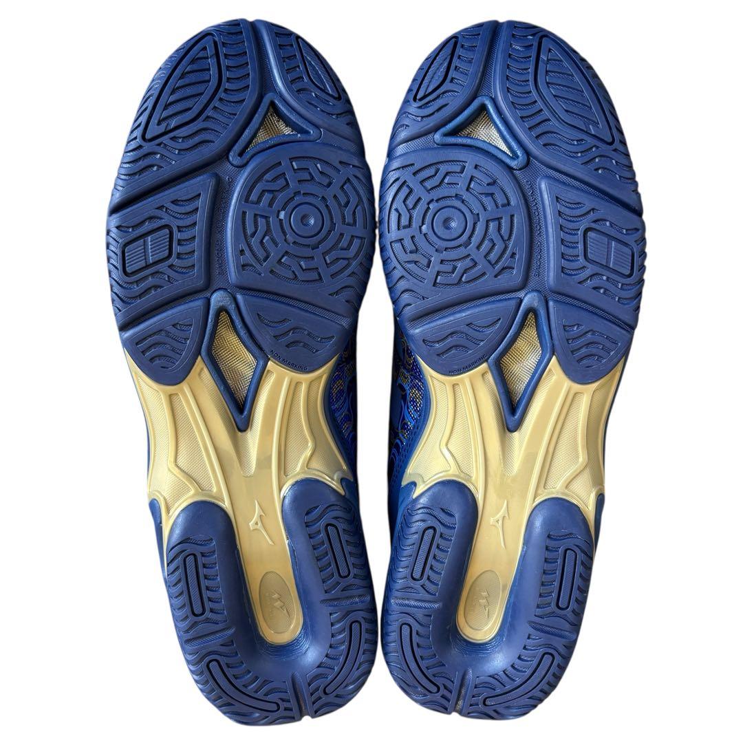 【未使用】限定色 ミズノ ウエーブダイバース LG3 Ltd 25.5㎝