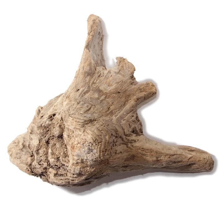 流木 インテリア レイアウト 42cm DIY アクアリウム 天然 rybk7