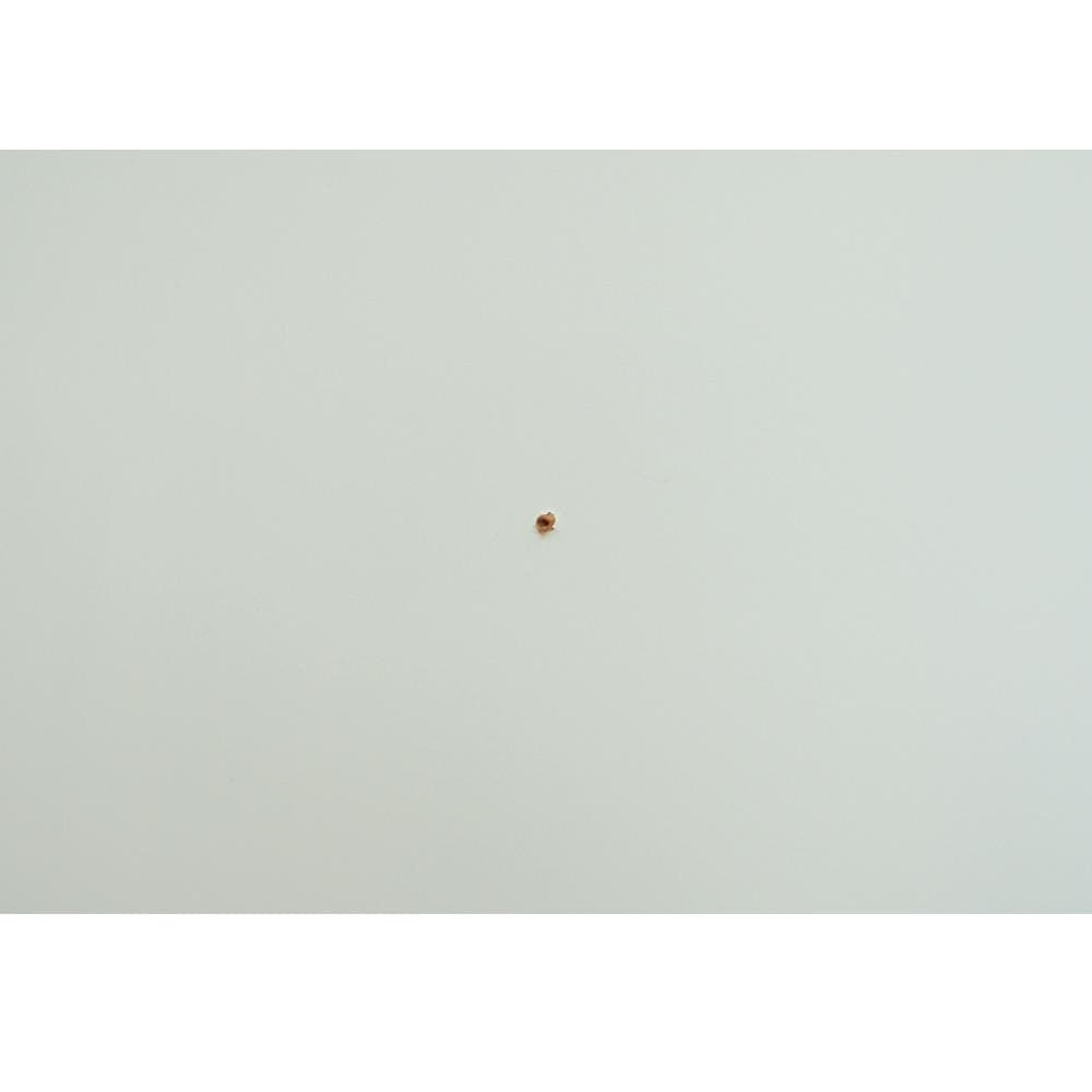 フレンチカントリー ガラスキャビネット カップボード