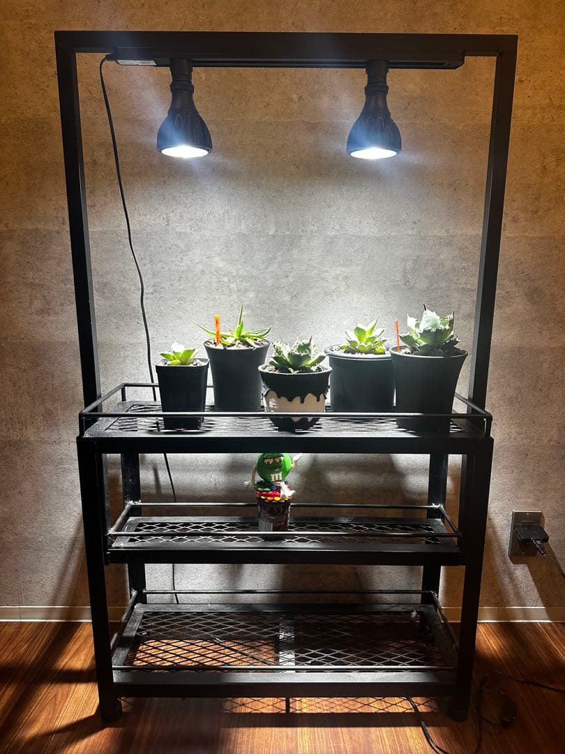 植物棚　補助棚　アイアン棚　エキスパンドメタル　アイアンシェルフ　アガベ