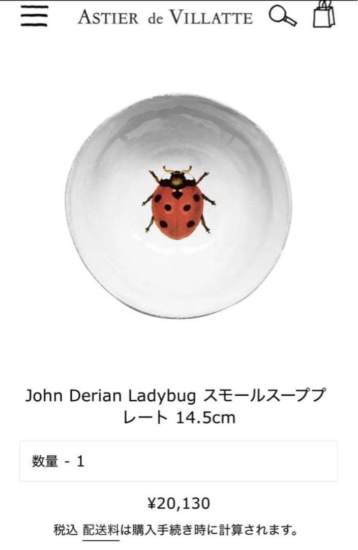 John Derian Ladybug スモールスーププレート 14.5cm