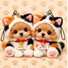 ☆受付☆トイプードル No.A