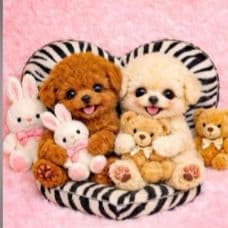 ☆受付☆トイプードル No.A