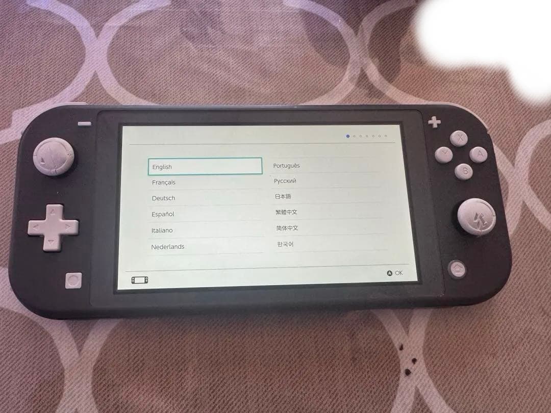 Nintendo Switch Lite GRAY (ジャンク)