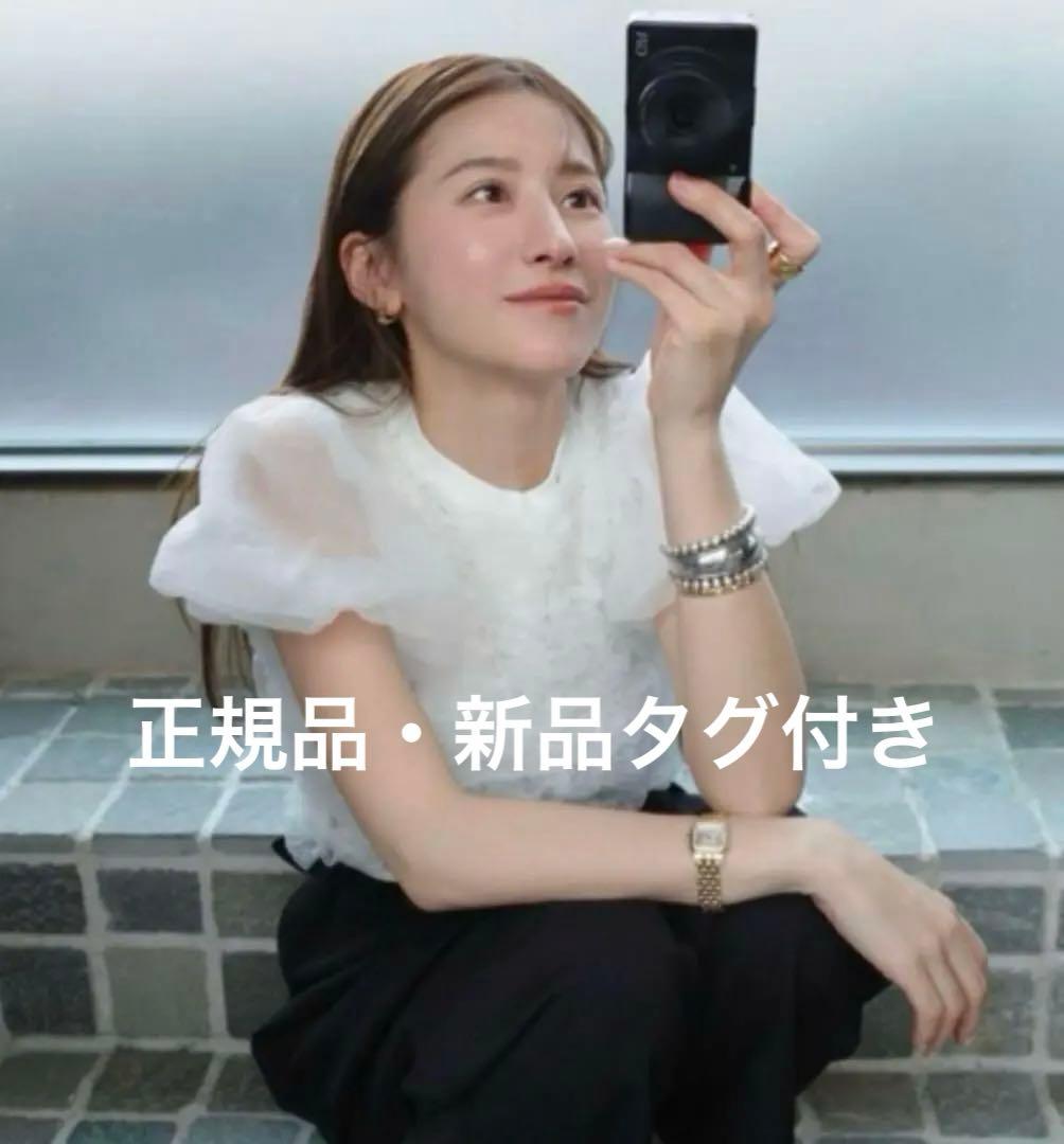 【新品タグ付】CLANE TULLE VEST LAYERED TOPS