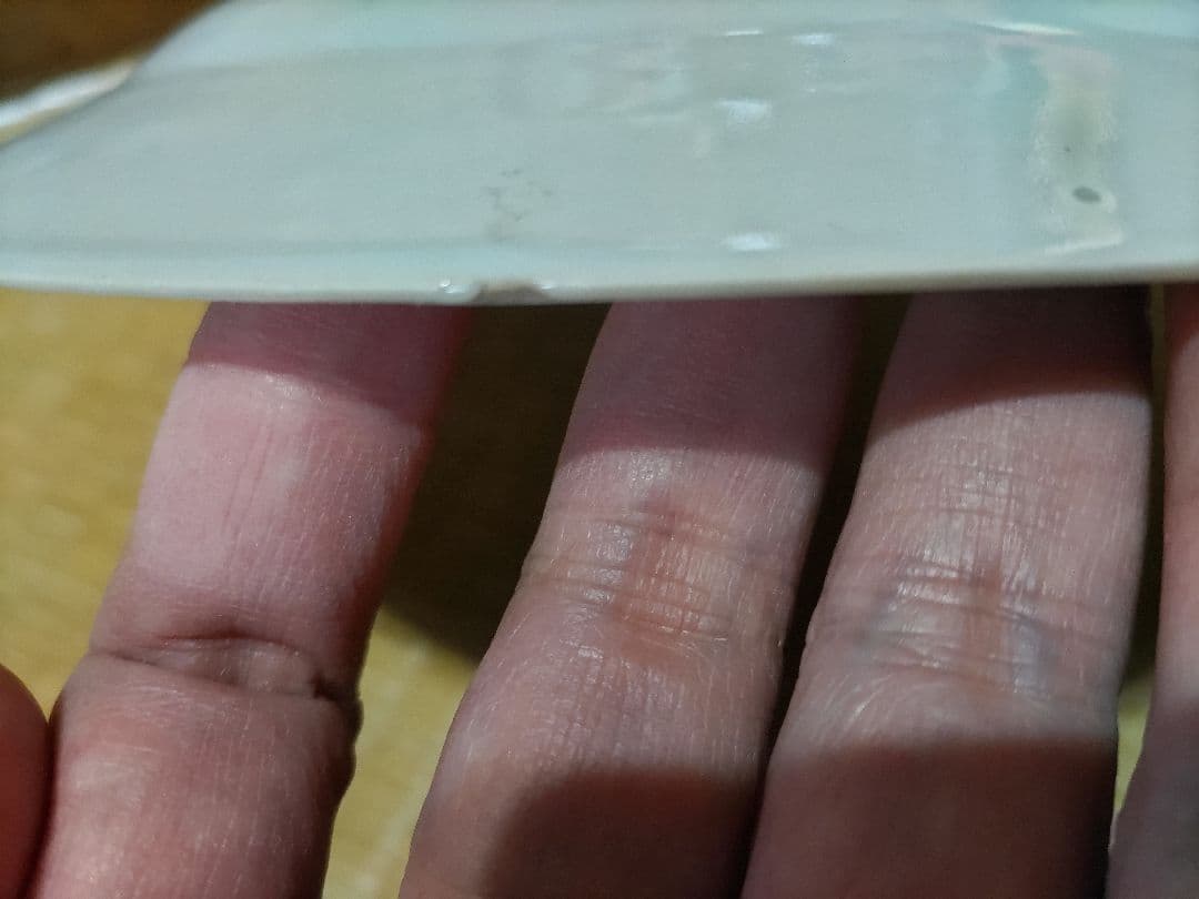 珍！　新渡　チャイニーズ　8寸皿　伊万里・古染付・デルフト写し　中国製