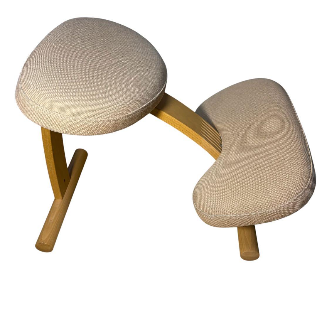 Balans Easy バランスチェア イージー 姿勢矯正 サカモトハウス