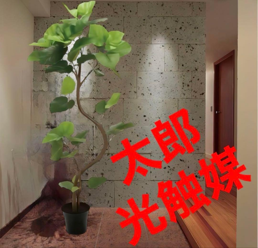 光触媒　人工観葉植物　フェイクグリーン　ウンベラータスパイラル5F