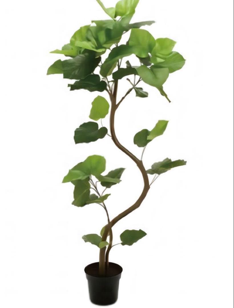 光触媒　人工観葉植物　フェイクグリーン　ウンベラータスパイラル5F