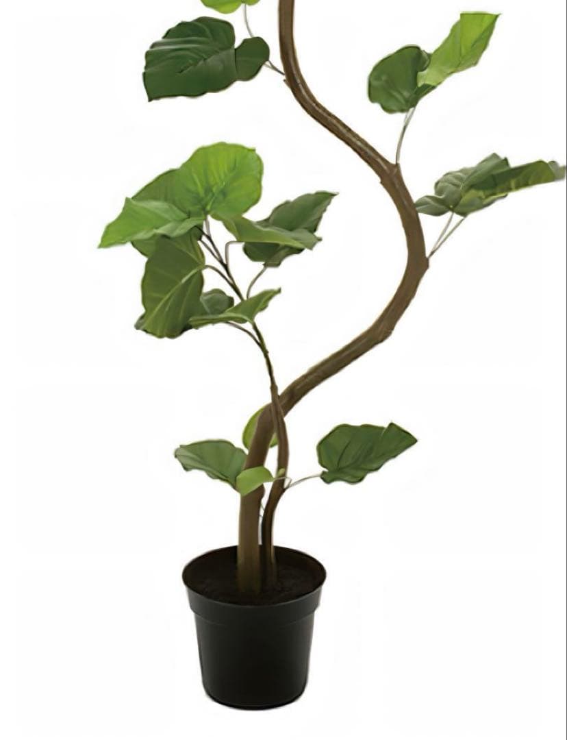 光触媒　人工観葉植物　フェイクグリーン　ウンベラータスパイラル5F