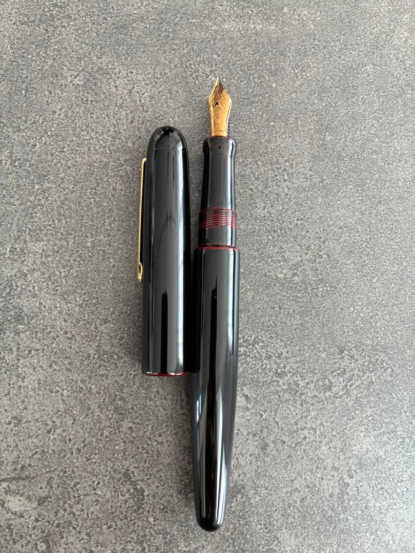 中屋万年筆 細軟 筆記確認済み