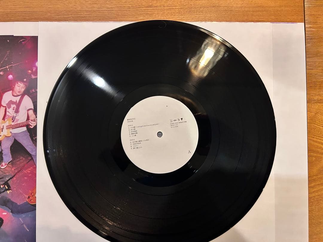 ２組セット銀杏BOYZLP中古レコードDOOR 君と僕の第三次世界大戦的恋愛革命