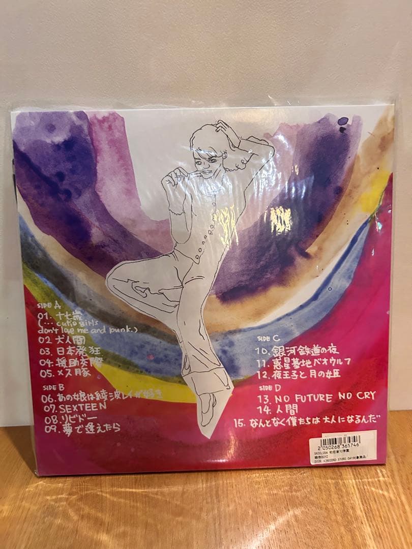 ２組セット銀杏BOYZLP中古レコードDOOR 君と僕の第三次世界大戦的恋愛革命