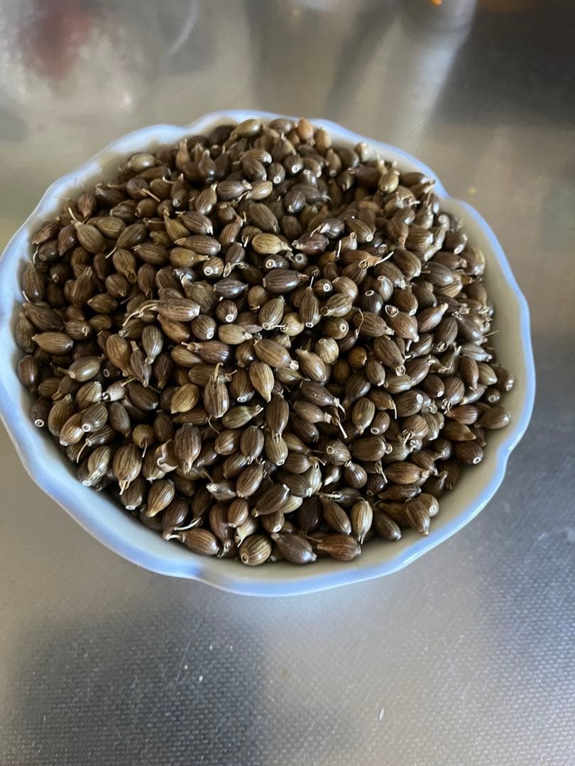 殻付き松の実￼ 2キロ+いろいろ