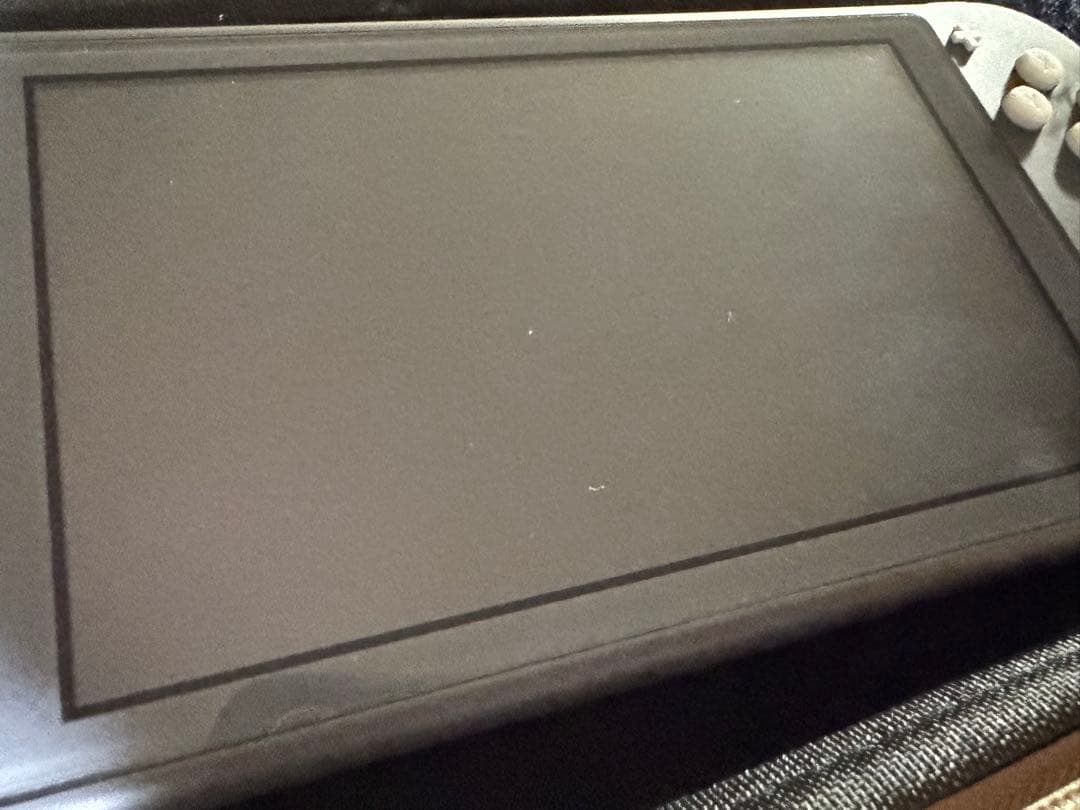 Nintendo Switch Lite グレー 箱付き アダプター無し