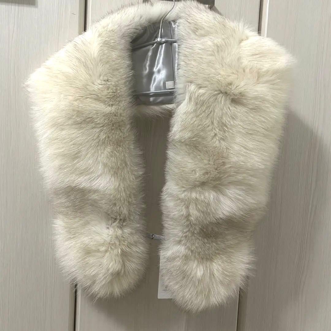 【成人式】サガフォックス ブルーフォックス