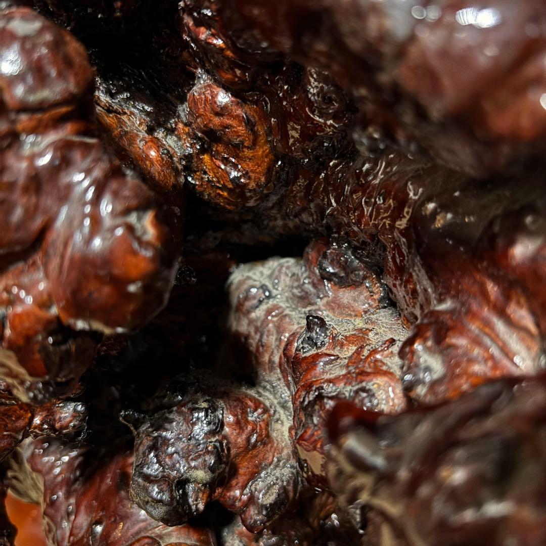 木の瘤　オブジェ　置物　天然木　自然木　木瘤　レア物　異形　インテリア　和風