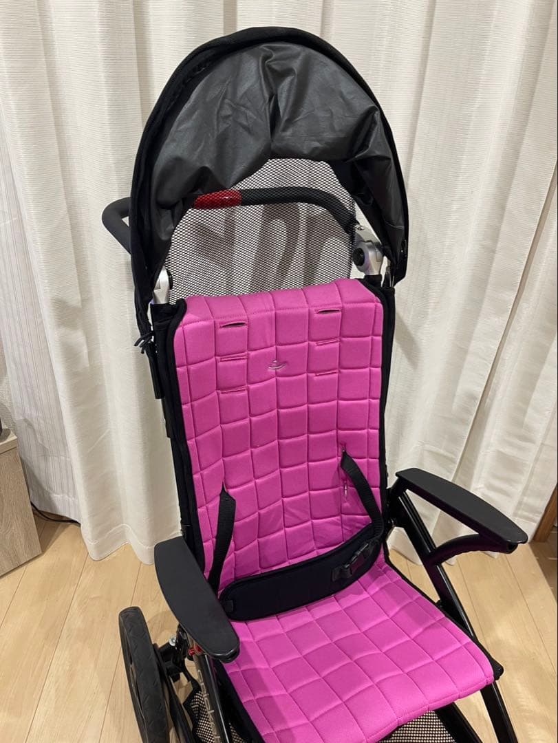 Cricket クリケット　車椅子　小児用バギー